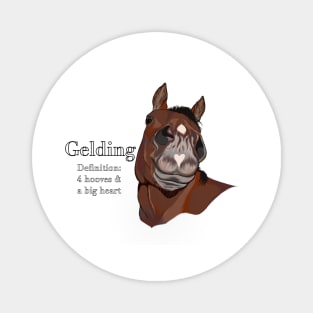 Bay Gelding Magnet